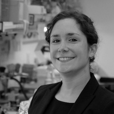 Headshot of Ellen DeGennaro